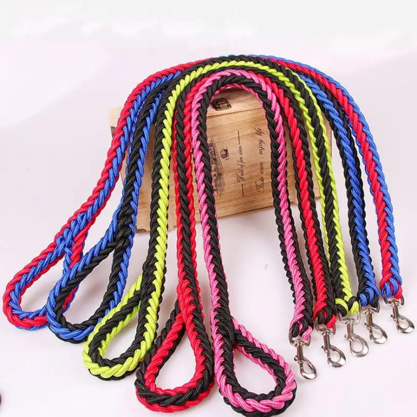 1.2M Durable Nylon Dog Leash with Iron Buckle for Large Breeds