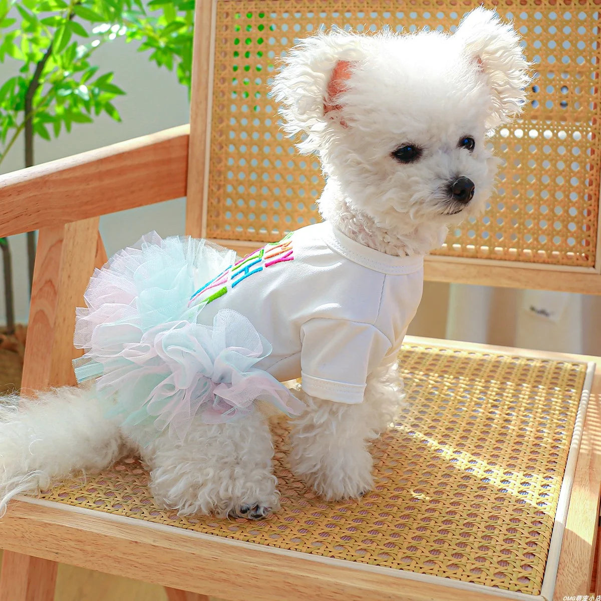 Colorful Ballet Dress for Small & Medium Dogs & Cats – Stylish & Fun