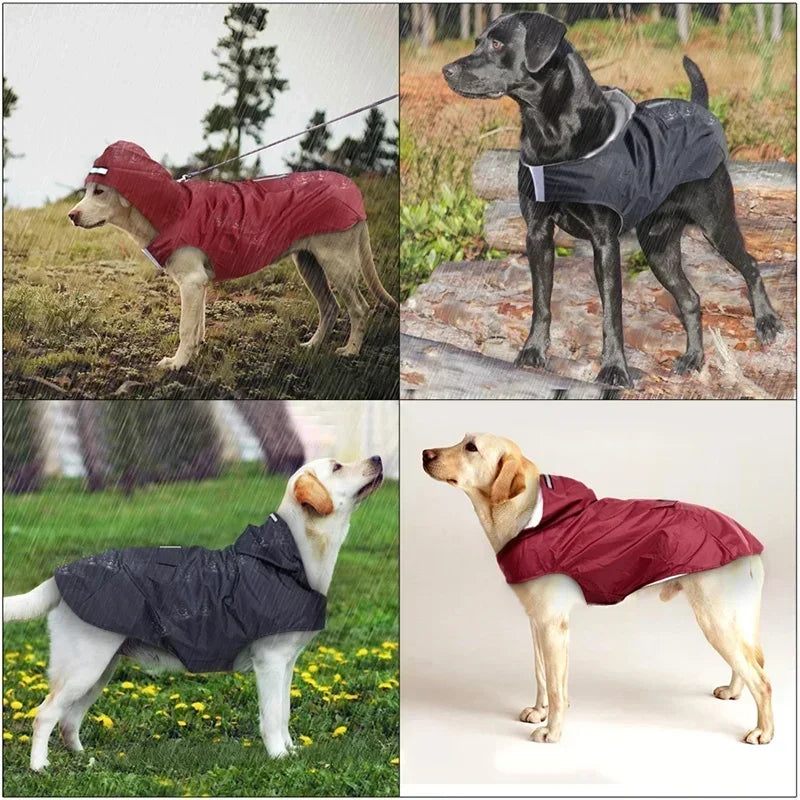 Waterproof Reflective Dog Raincoat - For Small to Large Breeds