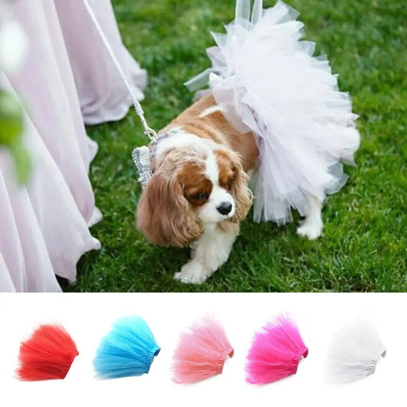 Cute Lace Tutu Dress for Small Dogs - Princess Pet Apparel