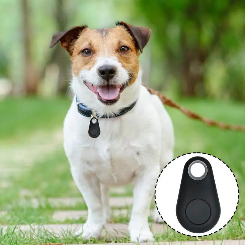 Tractive GPS Pet Tracker – Waterproof Location & Activity Tracker for Pets