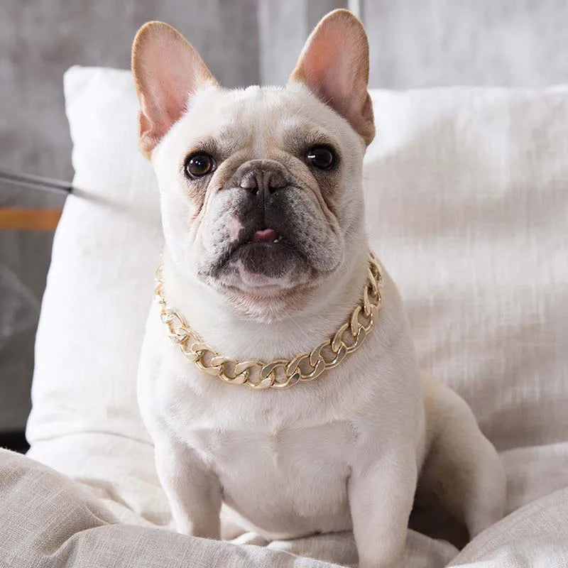 Fashion Dog Chain Collar - Gold/Silver Plated for Small & Medium Dogs