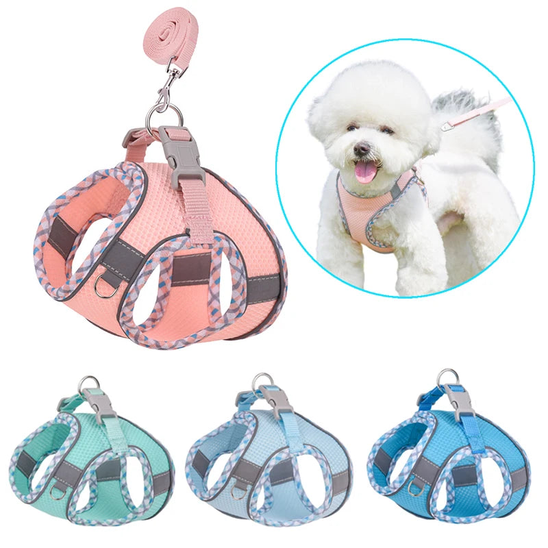 Reflective Mesh Dog Harness & Leash Set - Breathable for Small to Medium Dogs