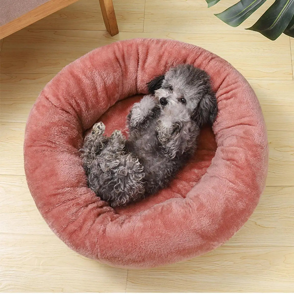 Ultra Soft Round Dog Bed - Washable & Warm for Winter Comfort