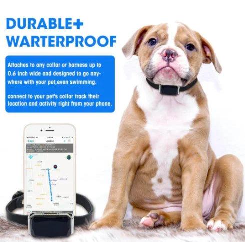 Smart GPS Tracker - Waterproof WIFI & LBS for Pets & Kids