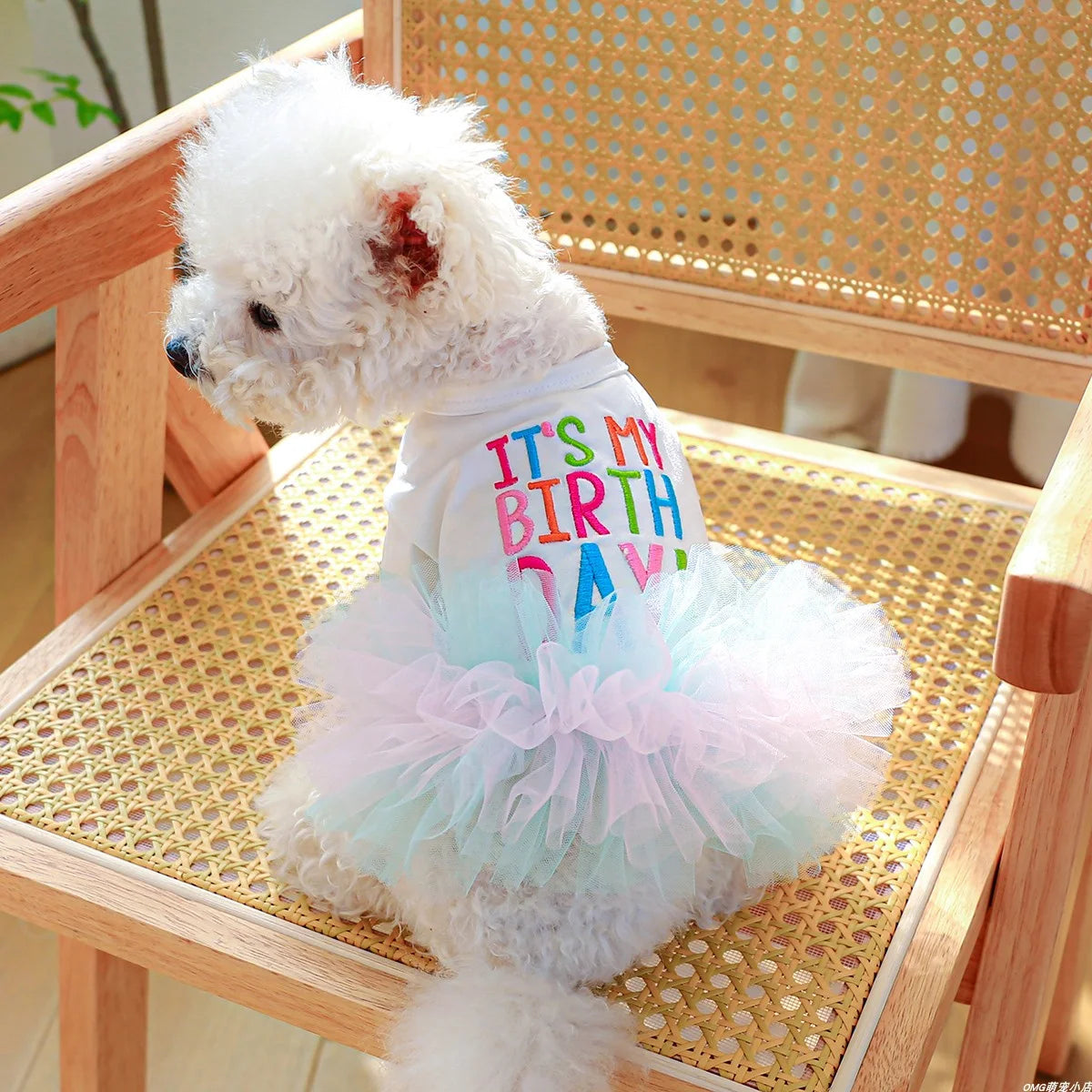 Colorful Ballet Dress for Small & Medium Dogs & Cats – Stylish & Fun